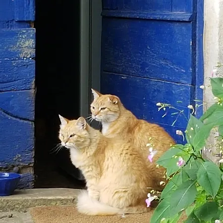 Villa Le Nid des Oiseaux à Cubjac Extérieur photo