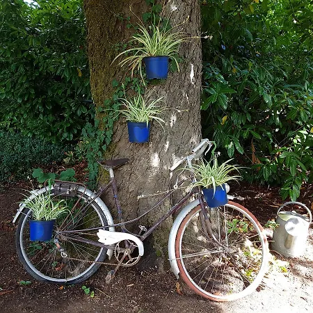 Villa Le Nid des Oiseaux à Cubjac Extérieur photo