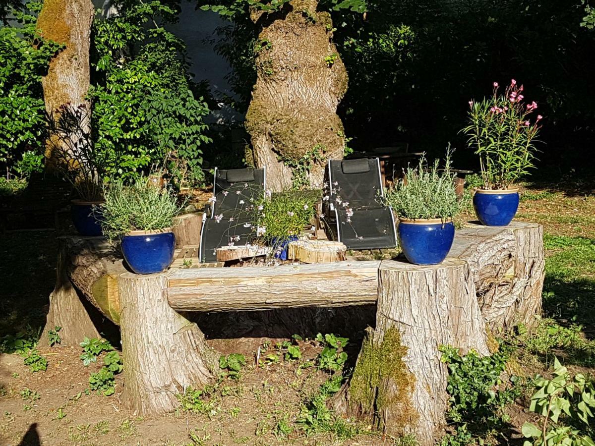 Hébergement de vacances Le Nid Des Oiseaux *